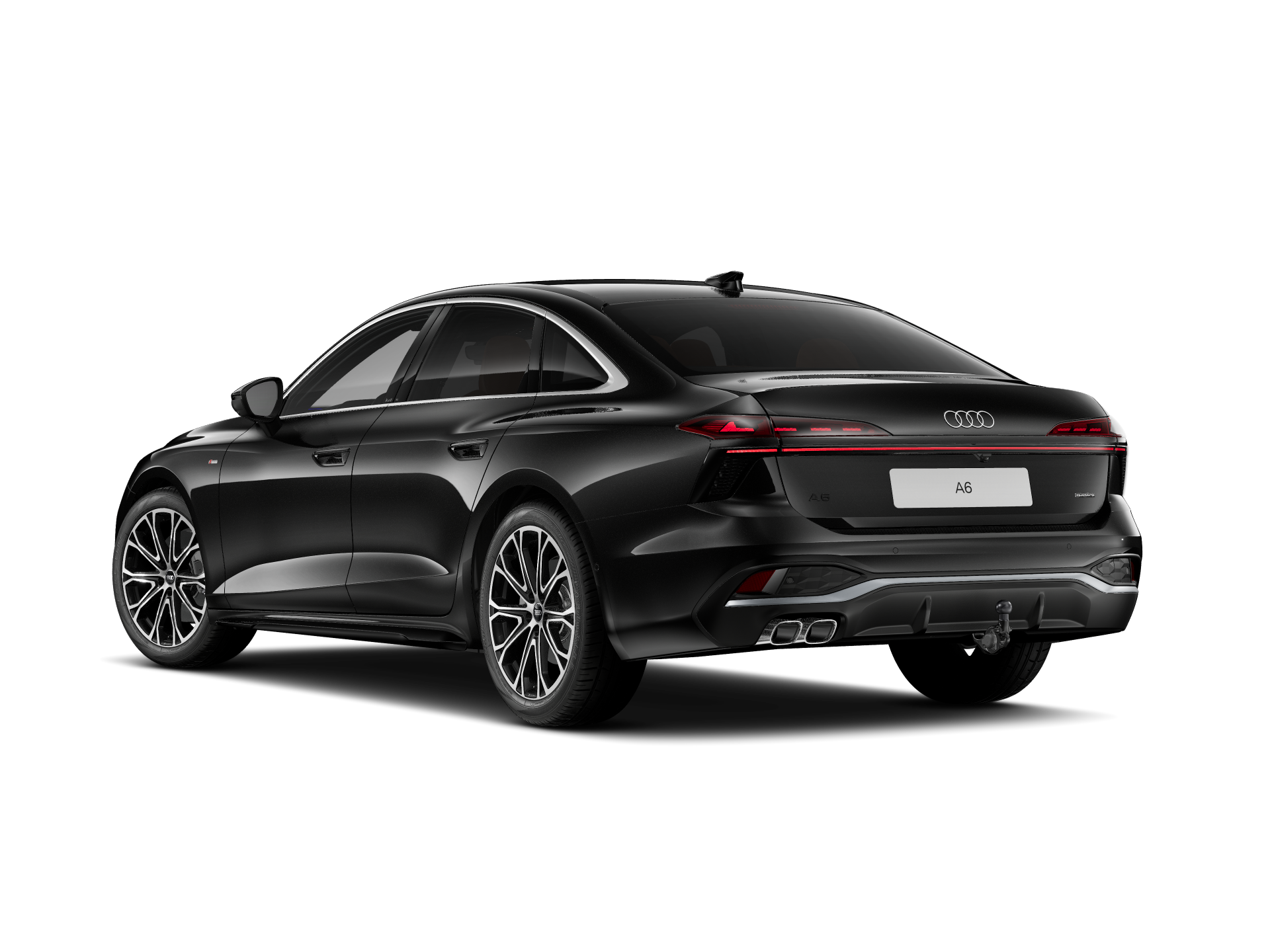 back-69d4d1622a230.png